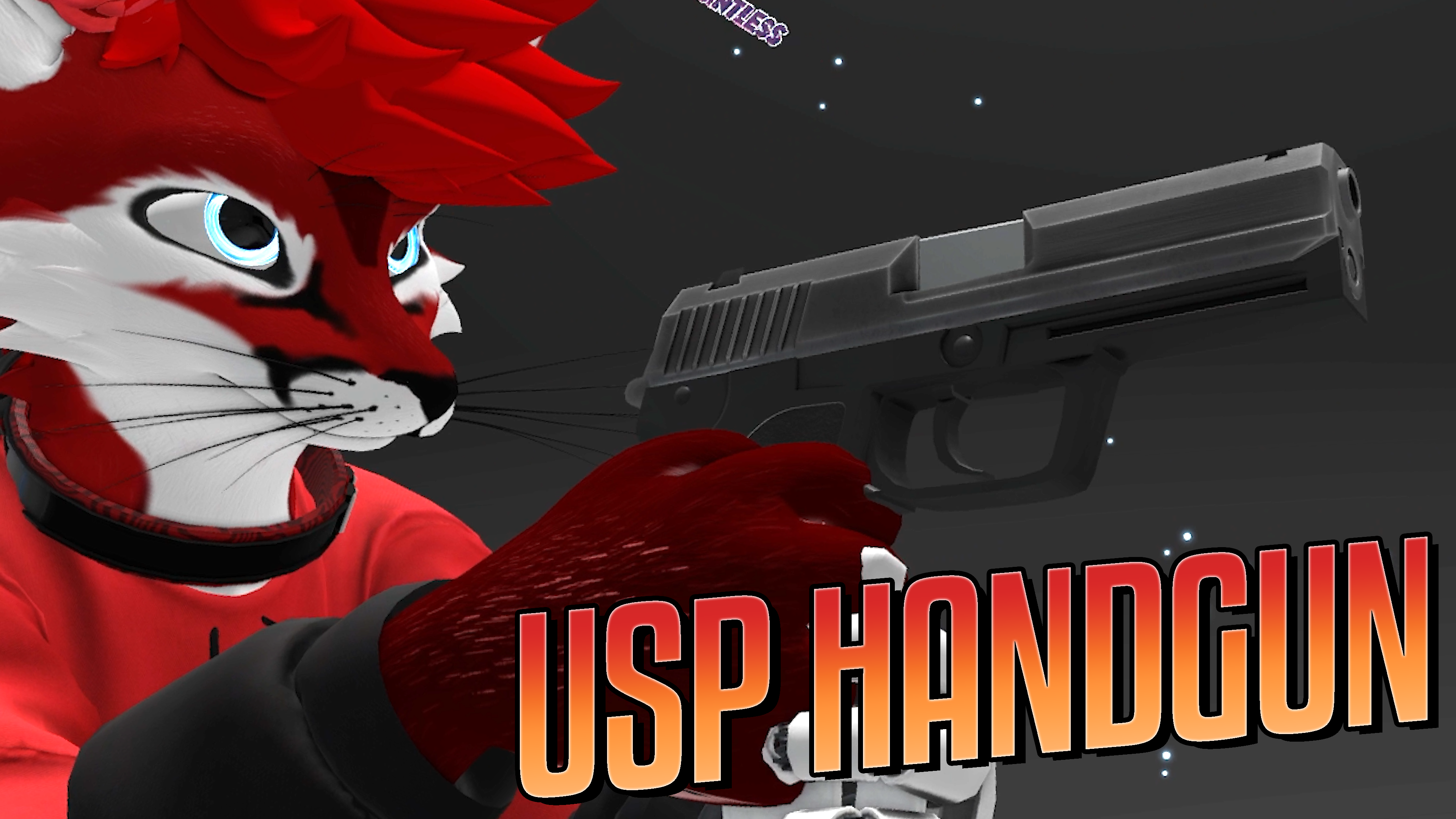 USP Handgun