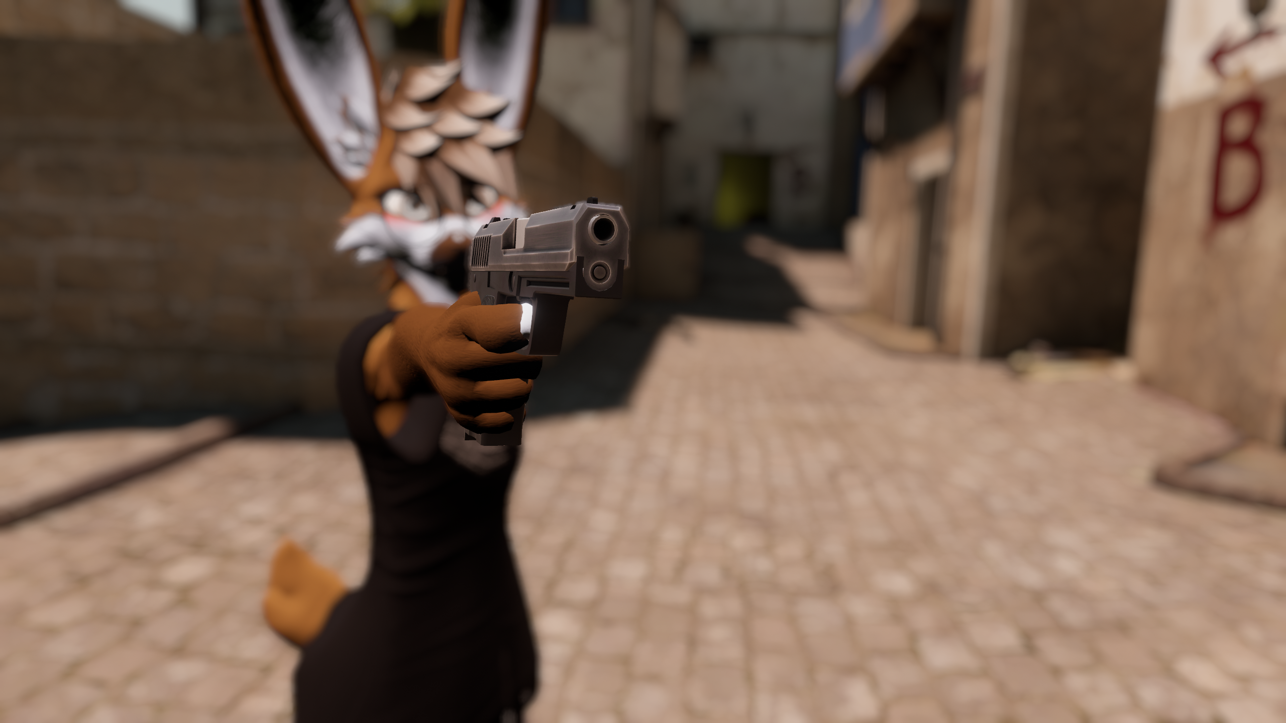 USP Handgun