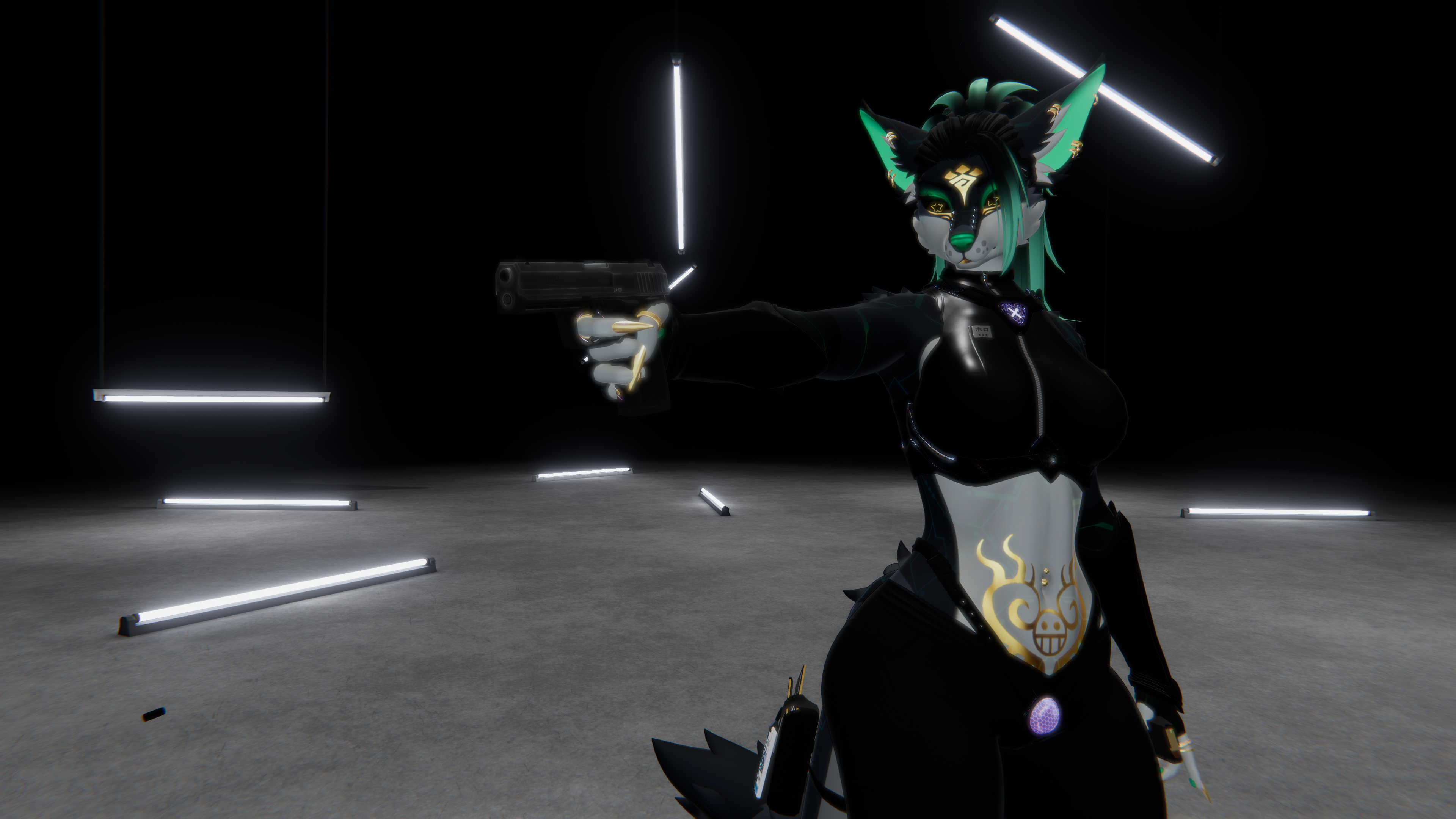 USP Handgun