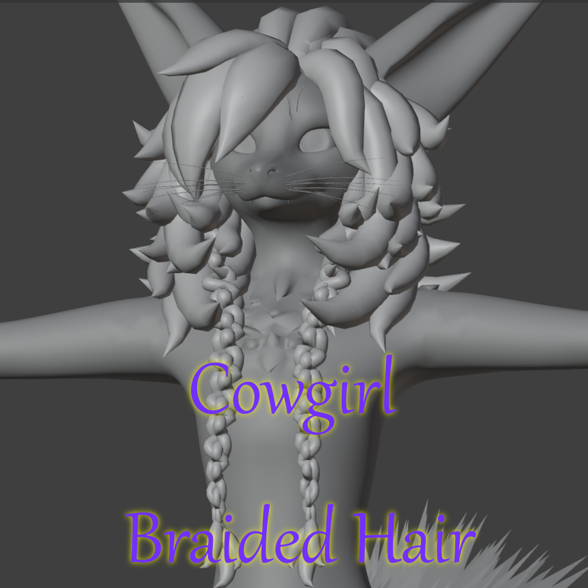 Universal Cowgirl Braids
