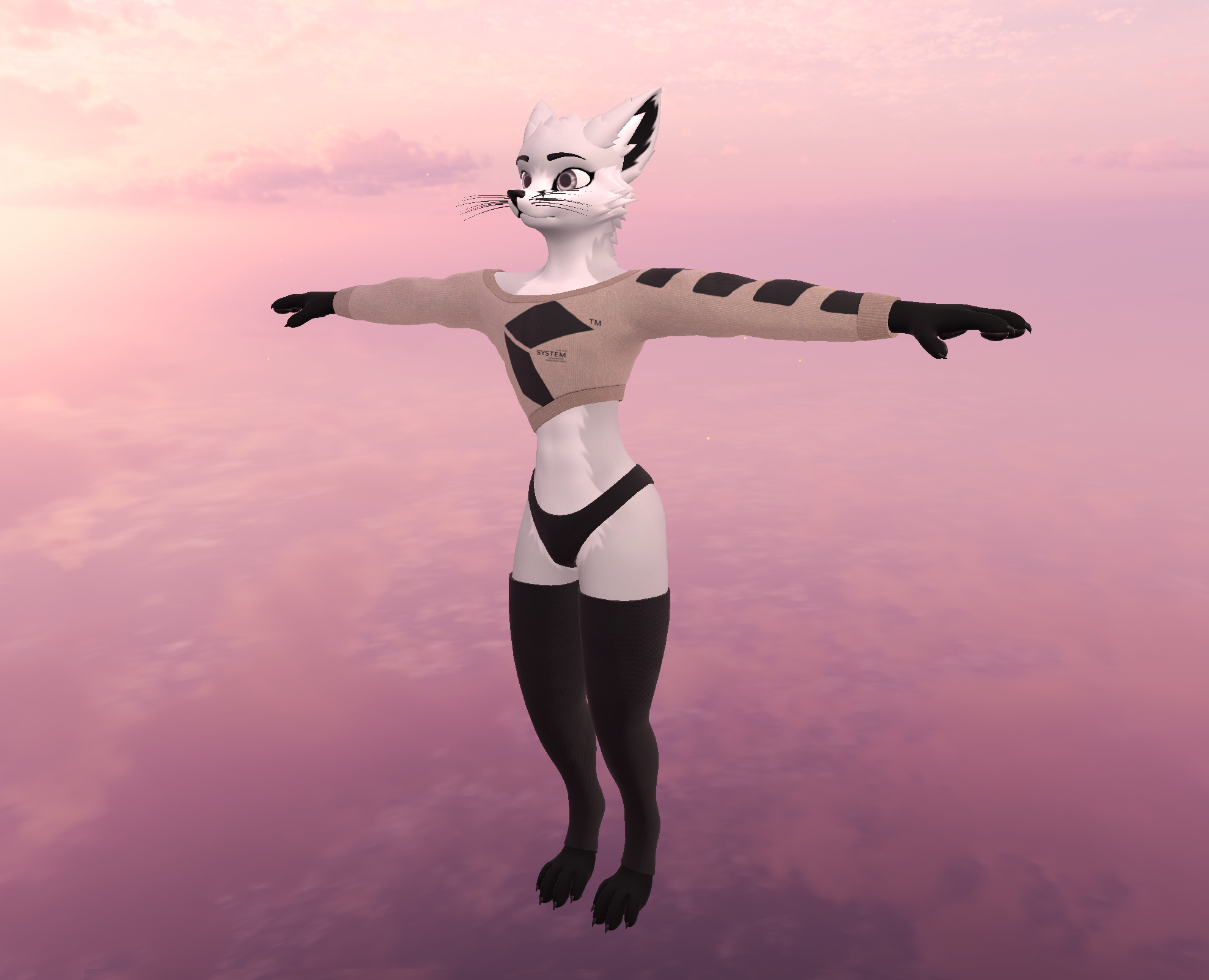 Cozy Kit | KitFox Crop Sweater & Briefs ð