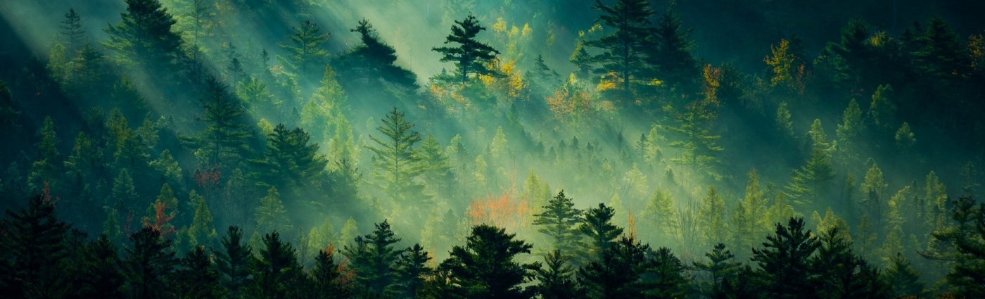 Banner Background