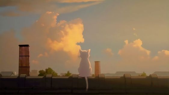 Fondo del banner