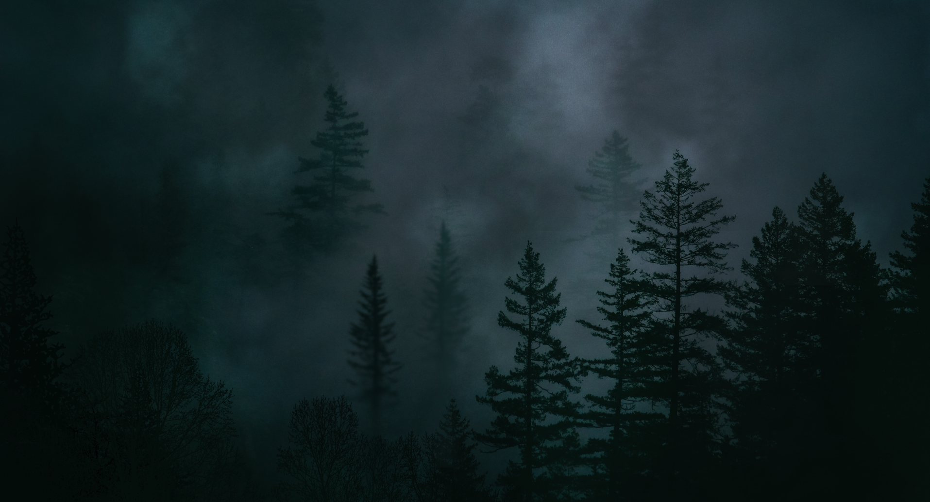 Banner Background