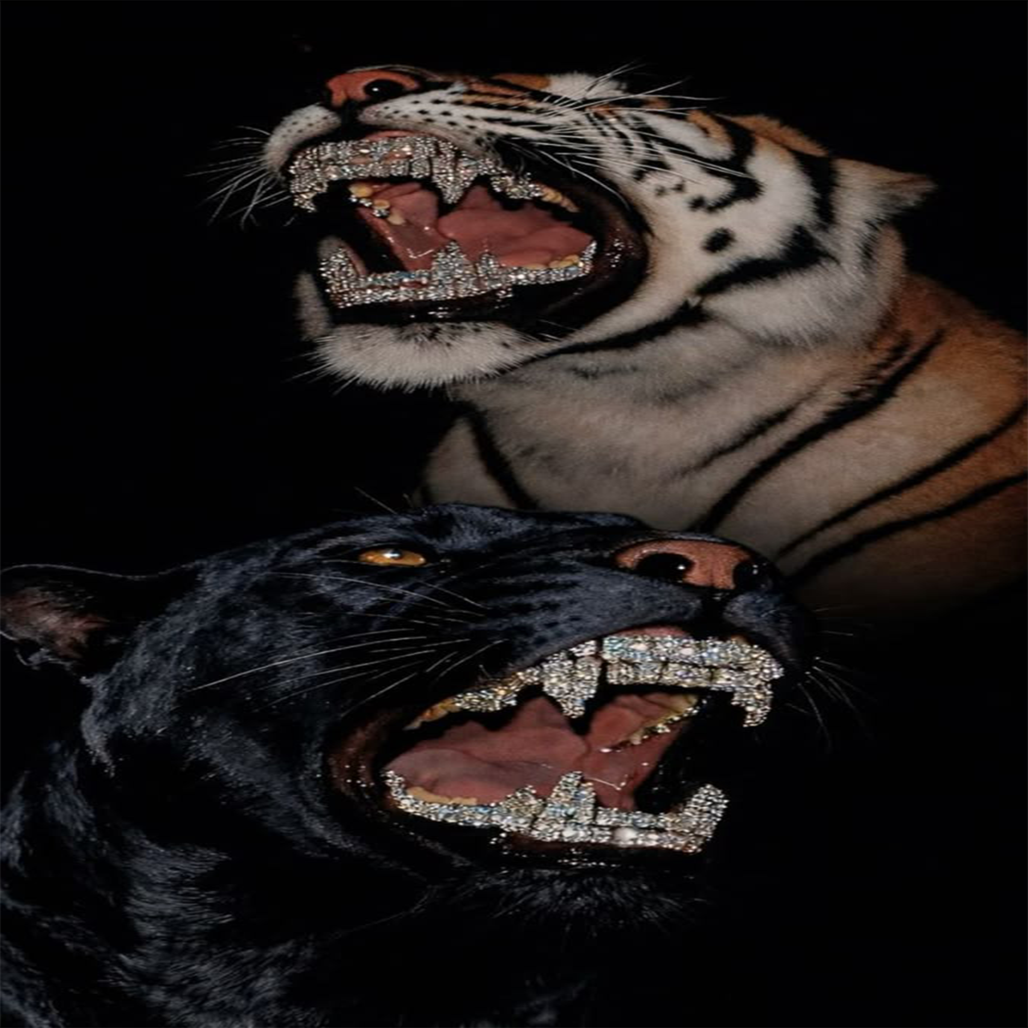 Banner Background