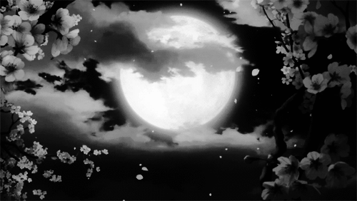 Banner Background