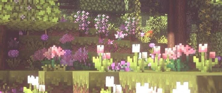 Banner Background