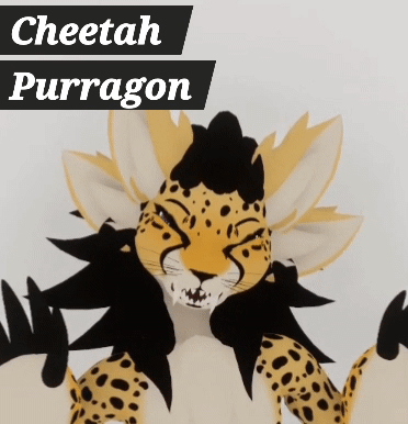 Cheetah - Purragon