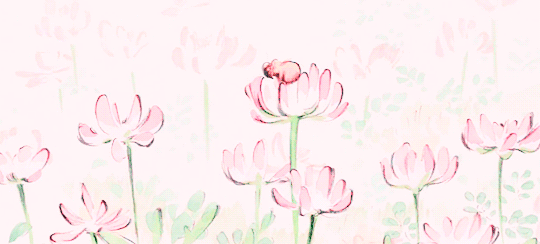 Banner Background
