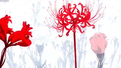 Banner Background