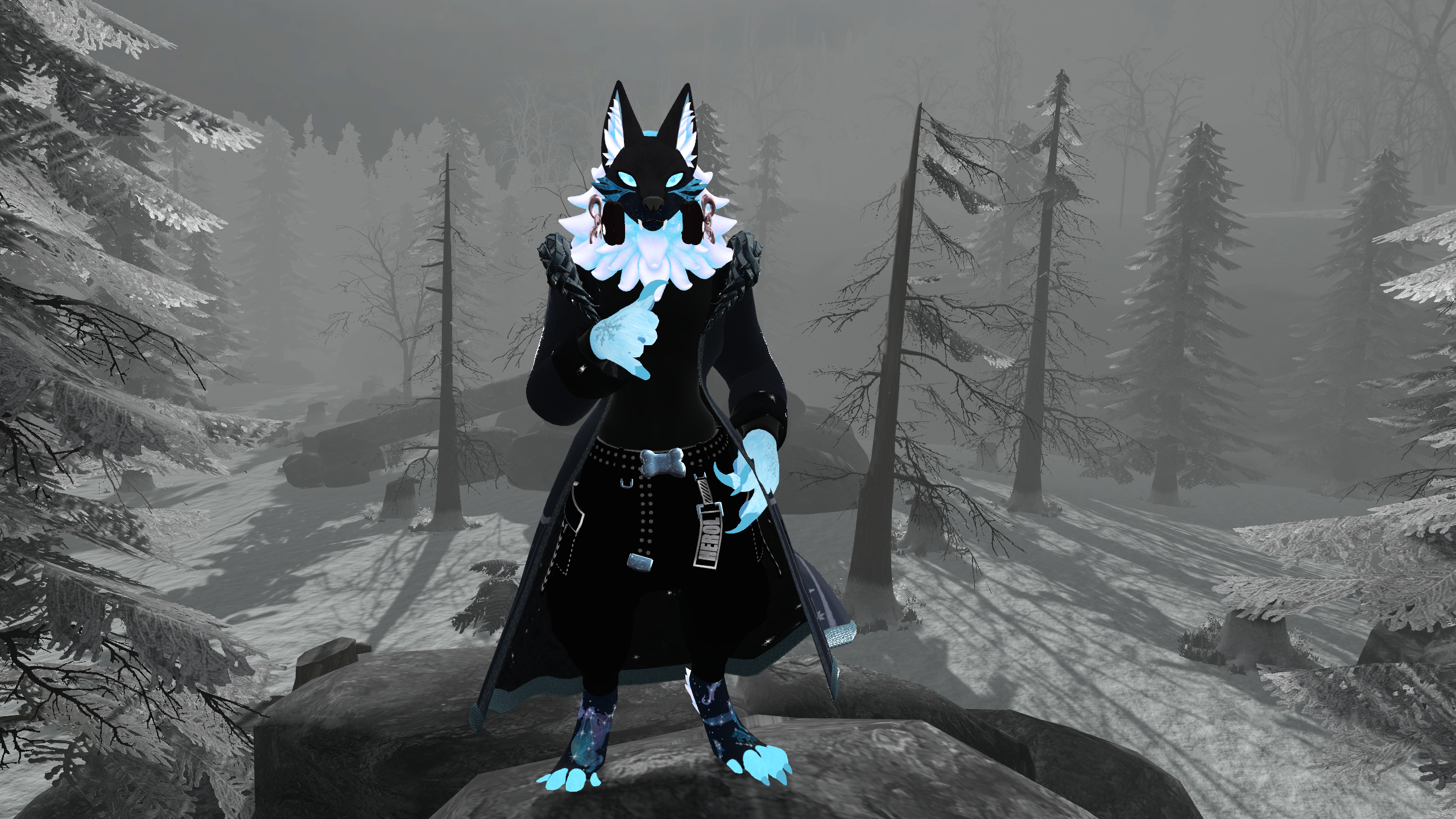 Herol Winter Coat (+ Shirt)