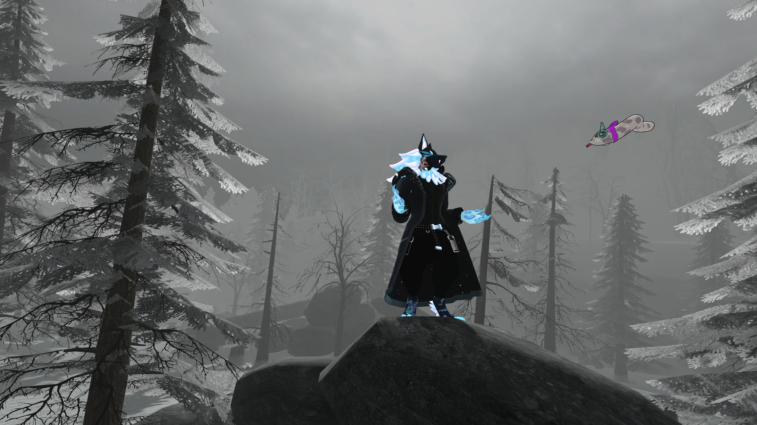 Herol Winter Coat (+ Shirt)