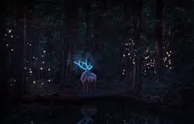 Banner Background