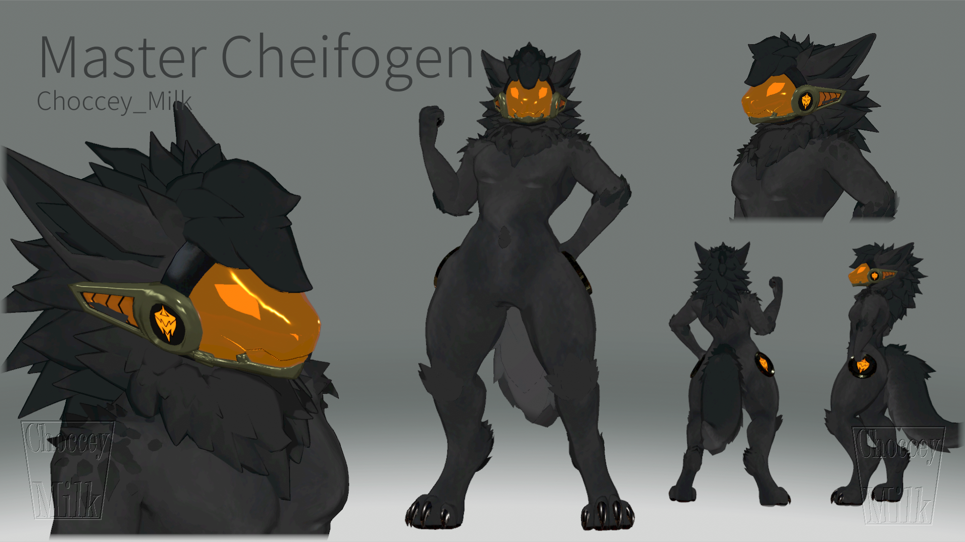 Master Cheifogen