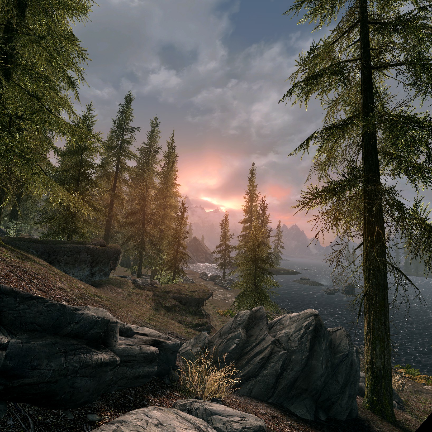 Banner Background