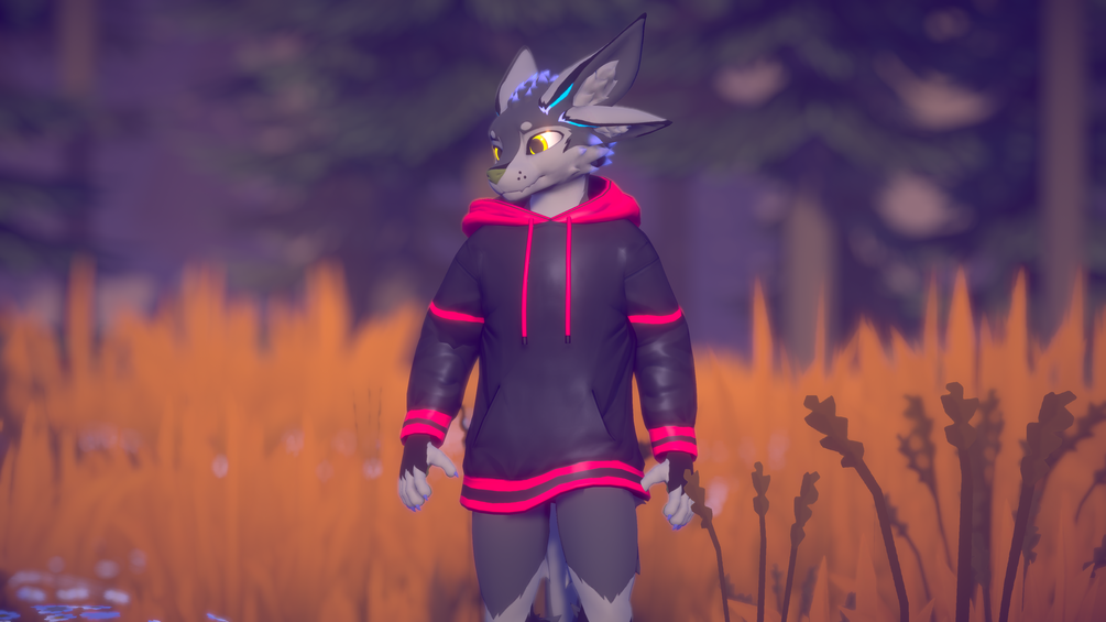 Deuzear Hoodie (VRChat Asset)