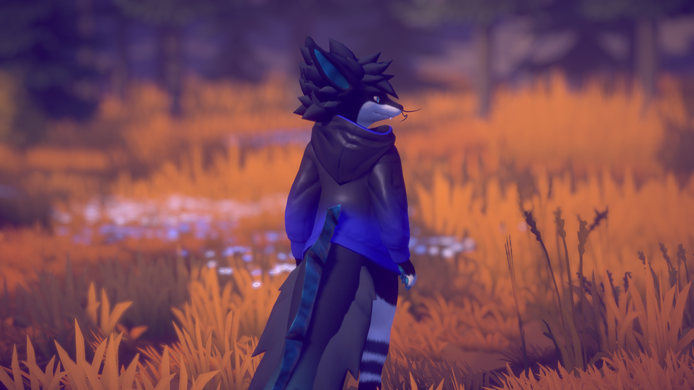 RegalFin Hoodie (VRChat Asset)