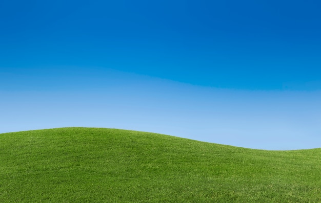 Banner Background