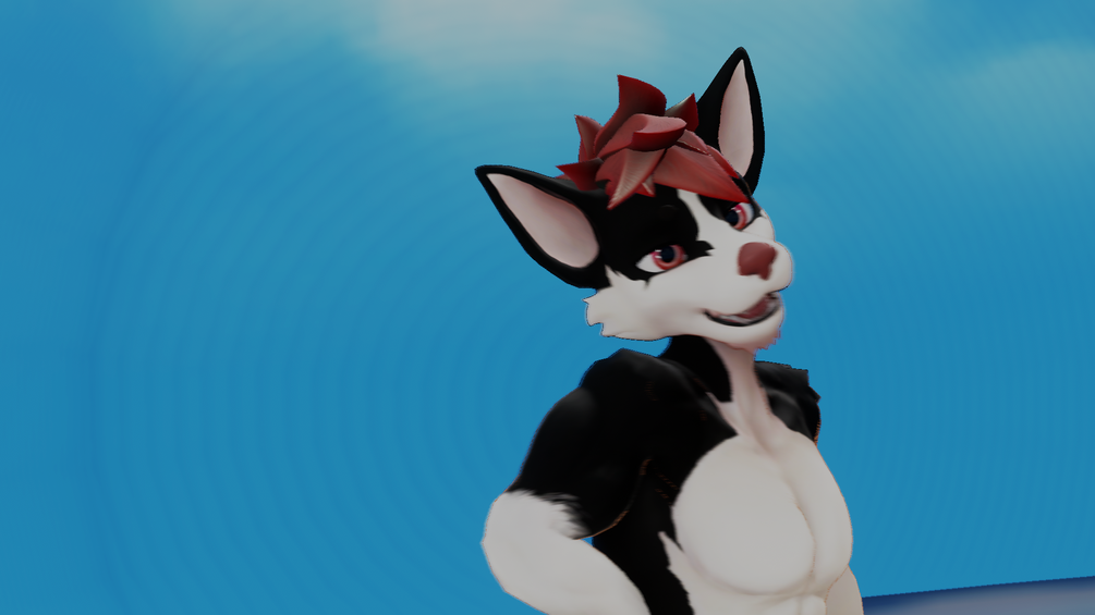 Viwi husky