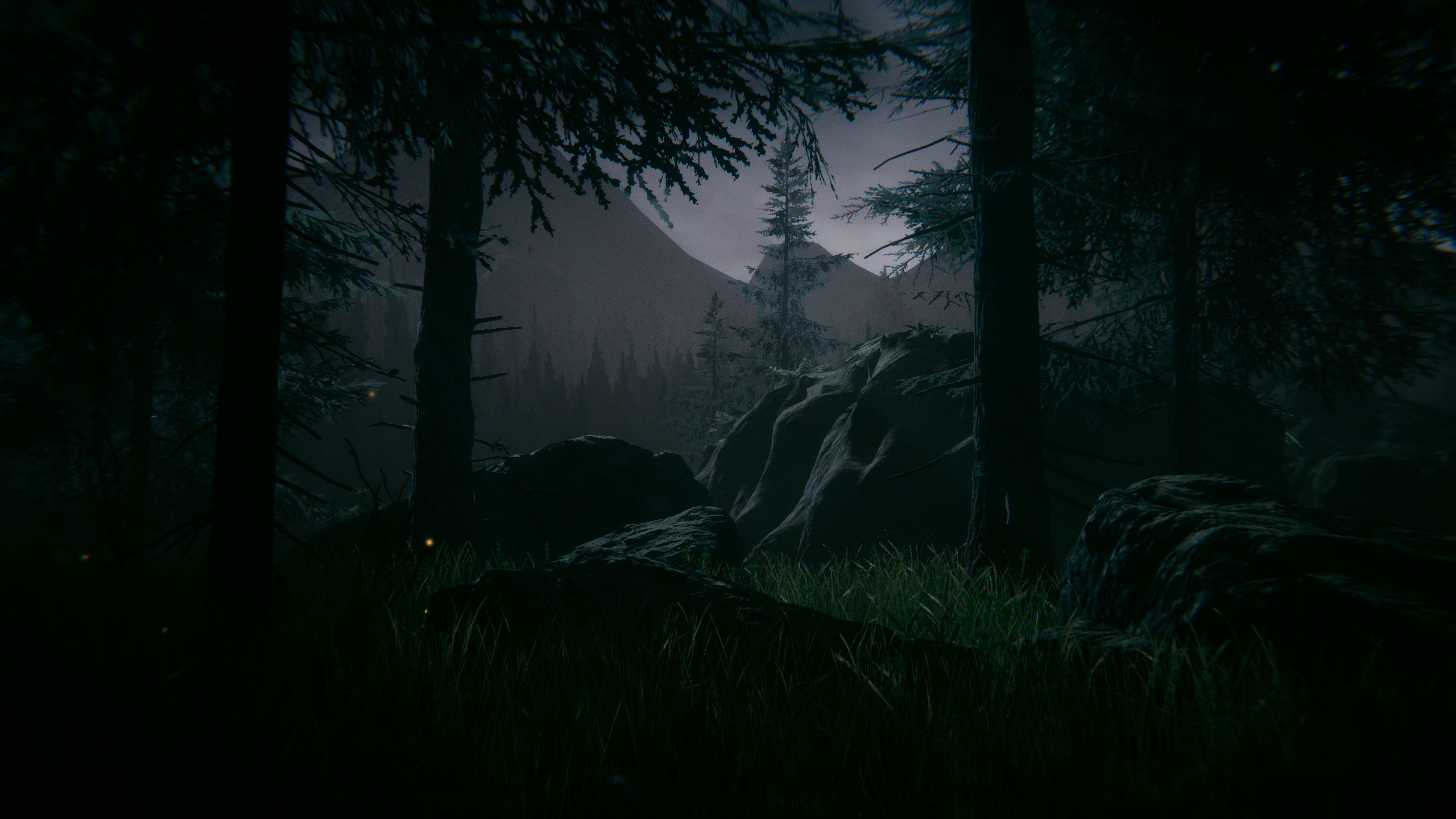 Banner Background