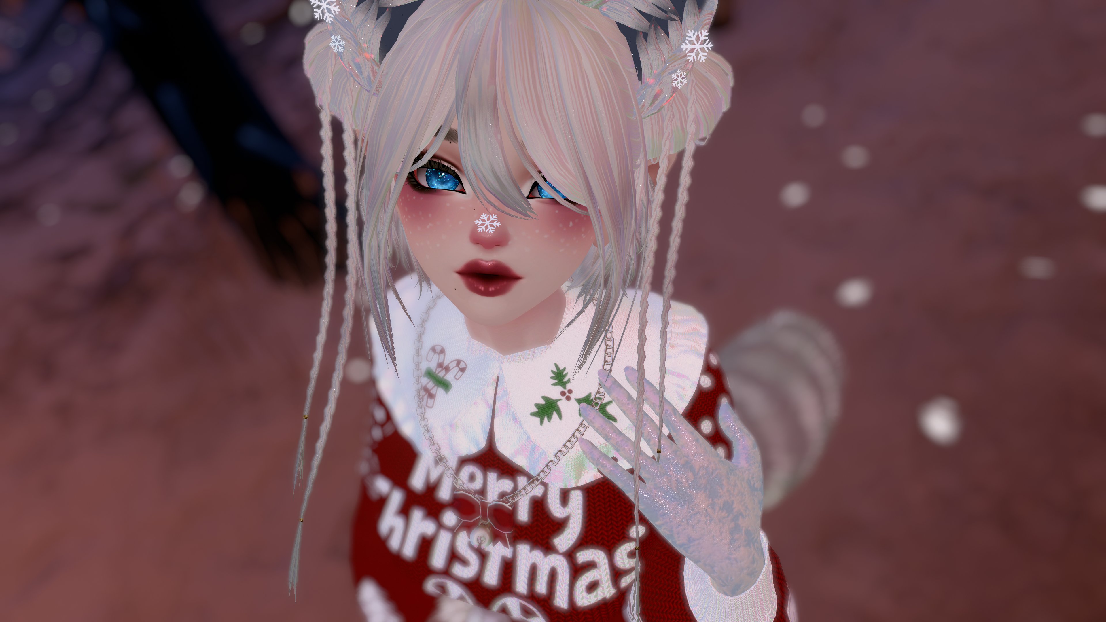 Vinxy the Christmas Raccoon - PC\Quest