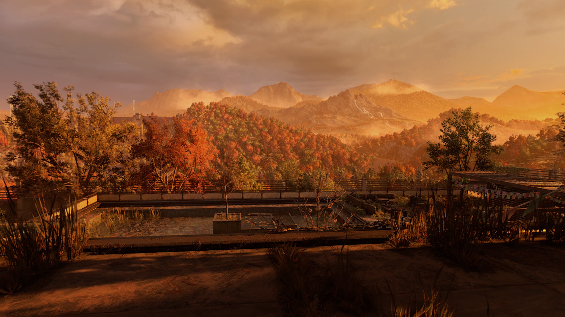 Banner Background