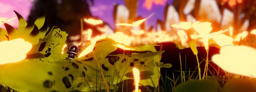Banner Background