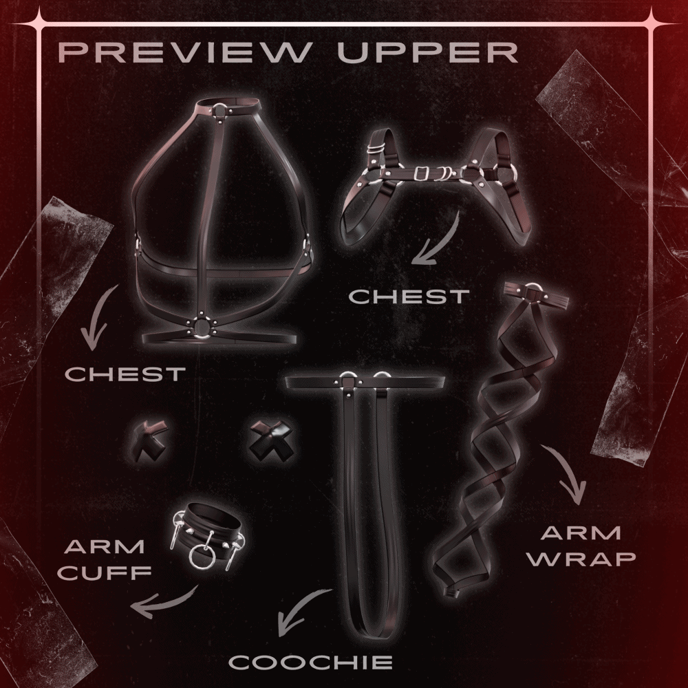 ✦ HARNESS SET