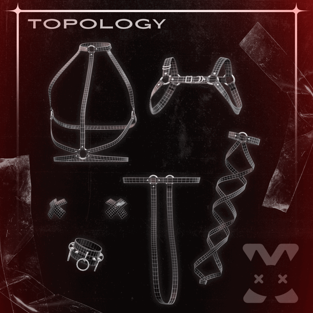 ✦ HARNESS SET
