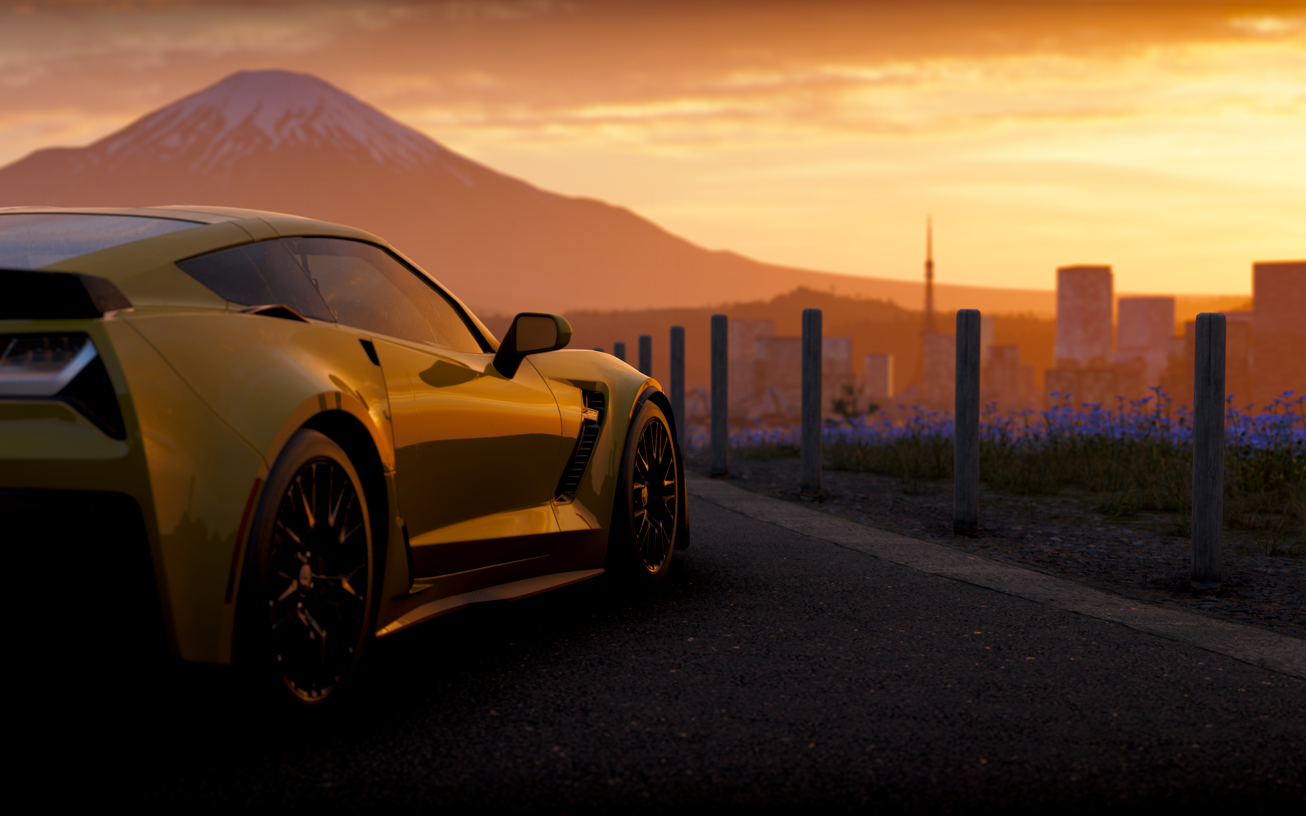 Banner Background
