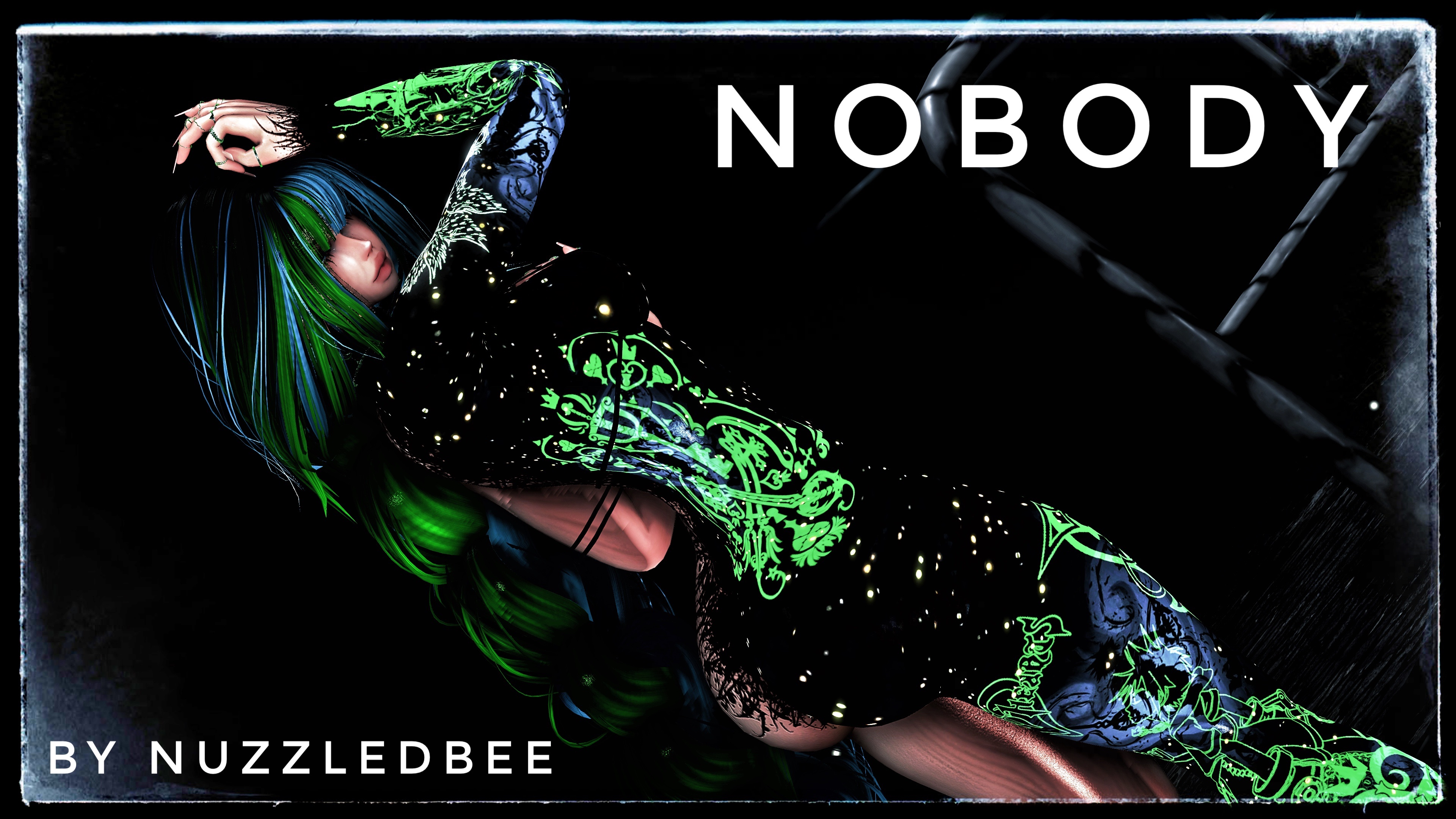 Nobodys Heart