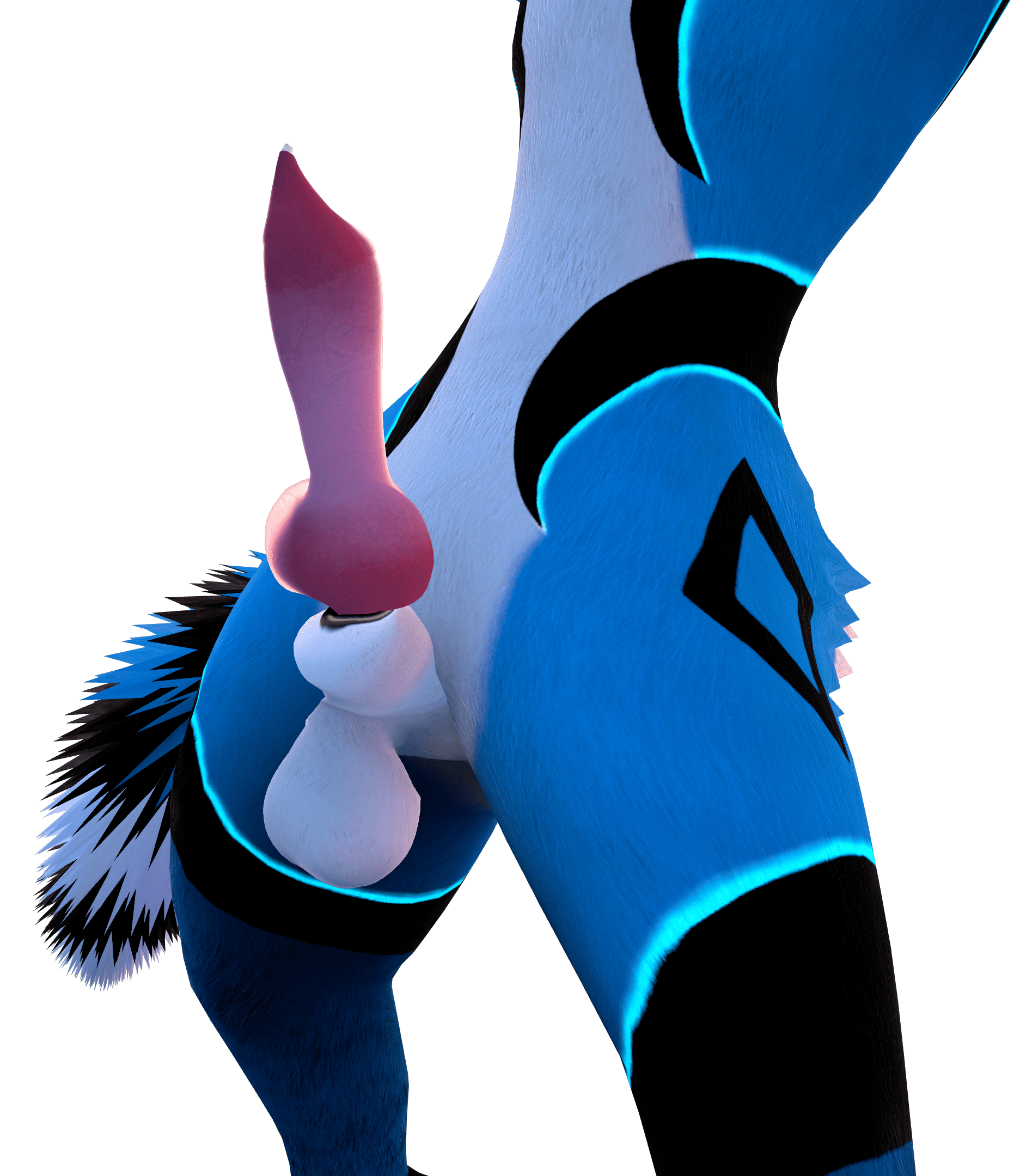 WuffBits - Anatomically Correct Male Canine Penis, Sheath and Anus