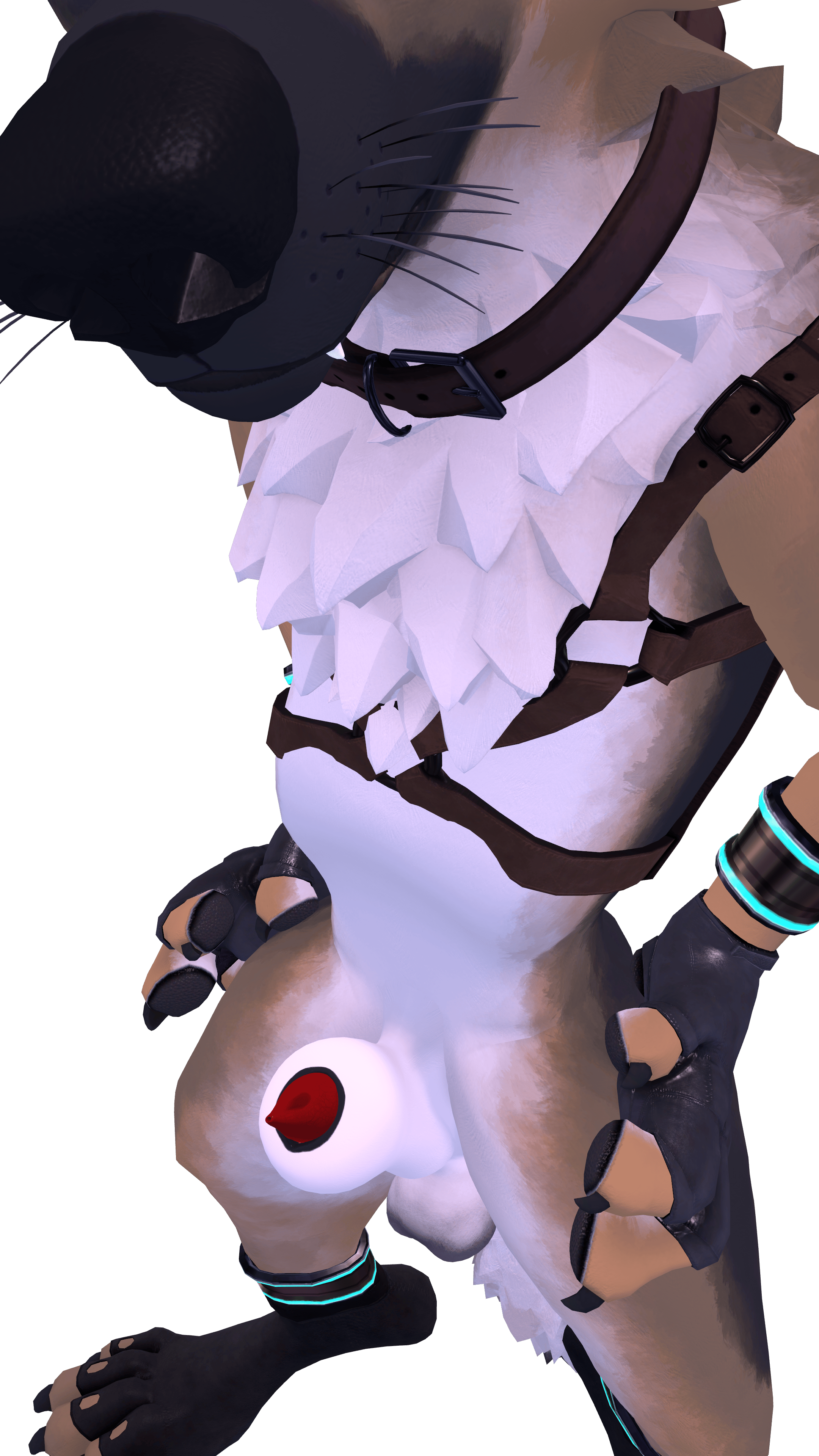 WuffBits - Anatomically Correct Male Canine Penis, Sheath and Anus