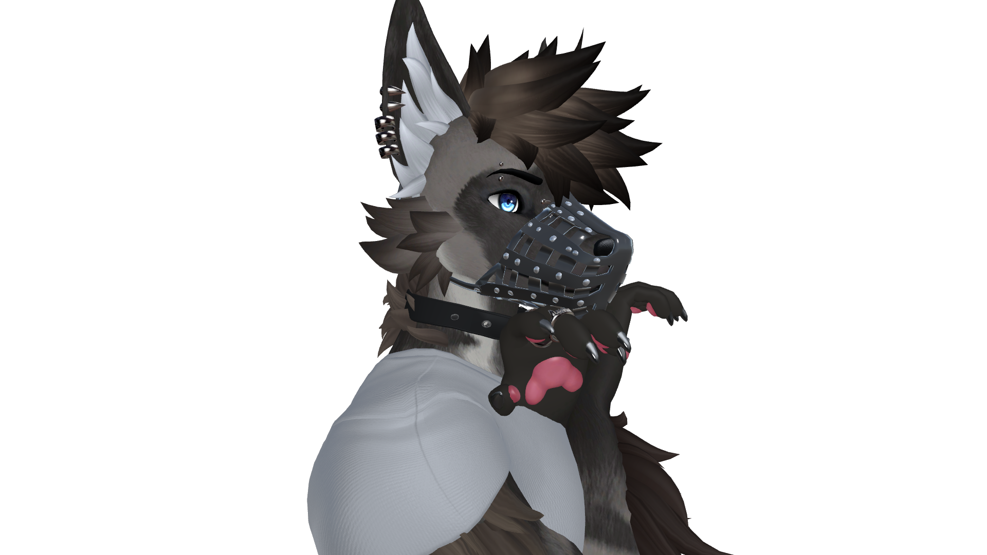 Muzzles for Archer Canine