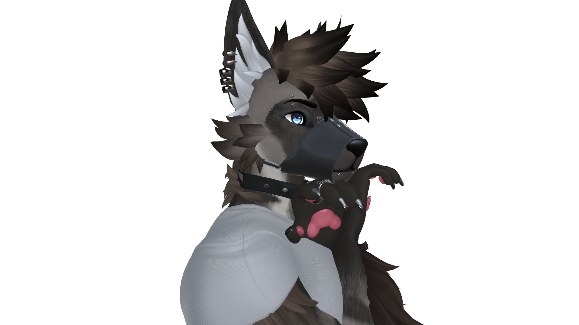 Muzzles for Archer Canine