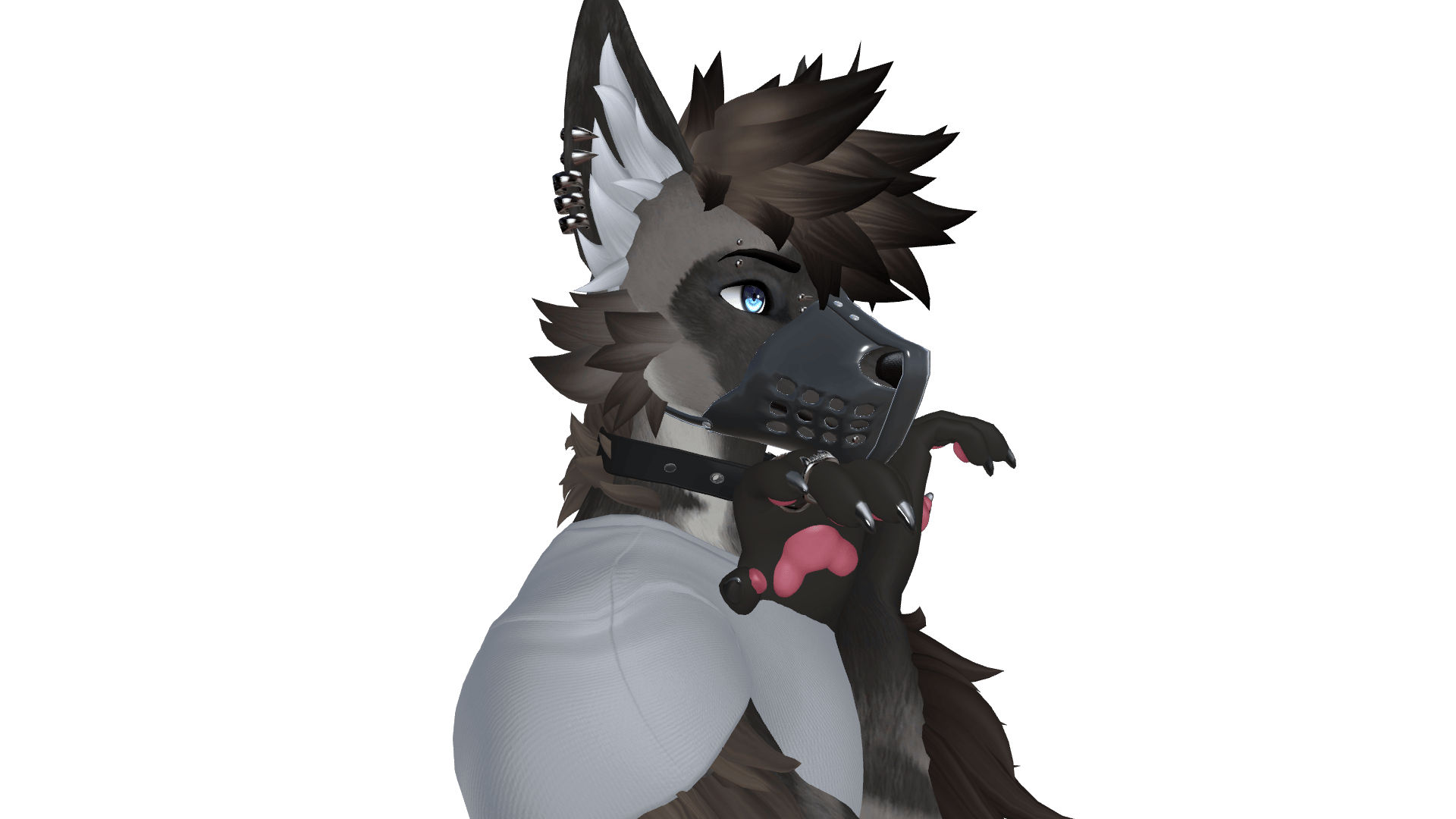 Muzzles for Archer Canine