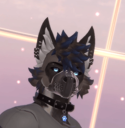 Muzzles for Archer Canine