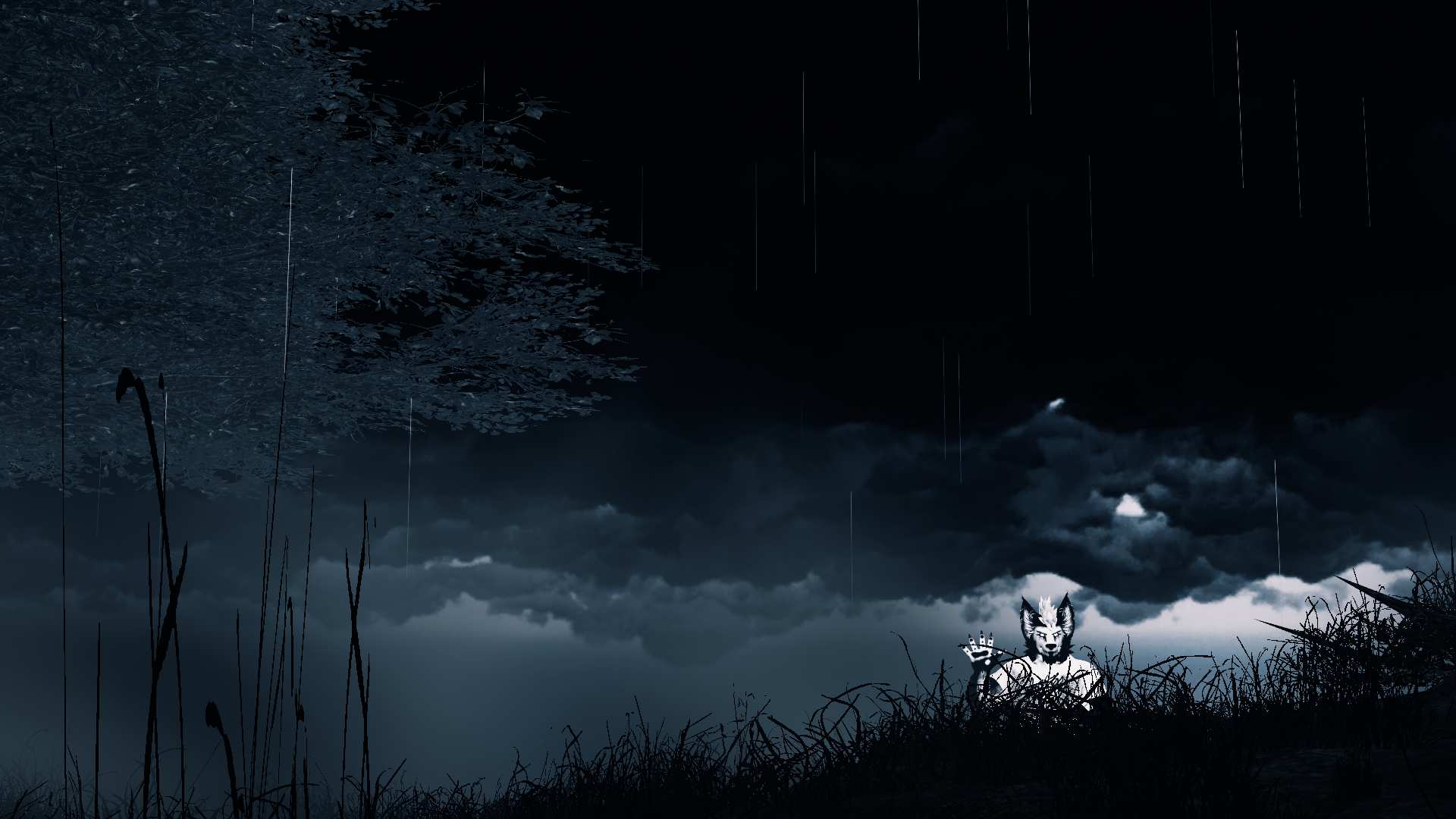 Banner Background