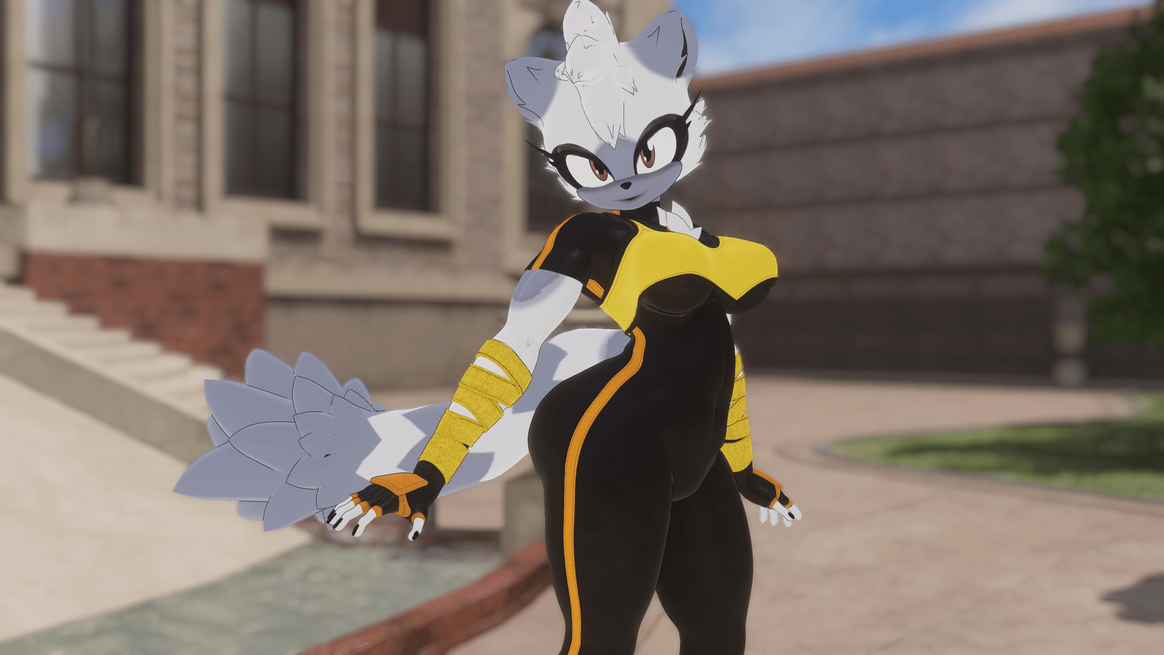Ring Tail