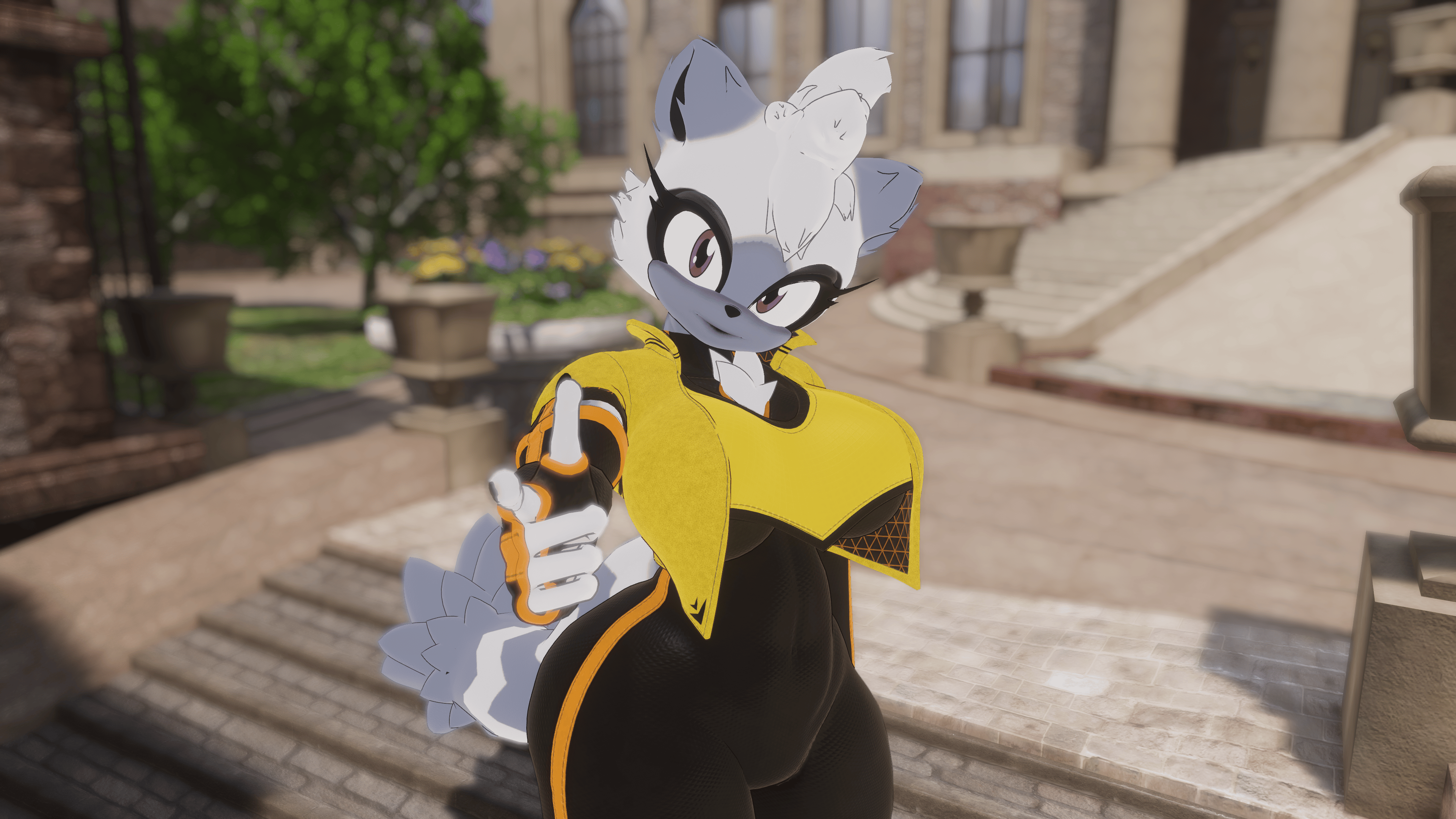 Ring Tail