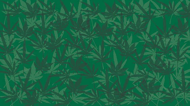 Banner Background