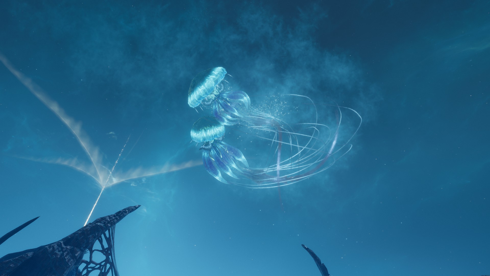 Banner Background