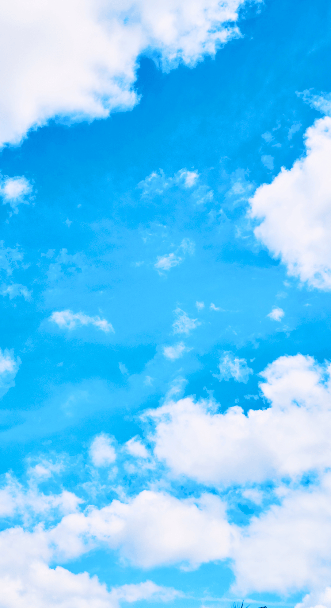 Banner Background