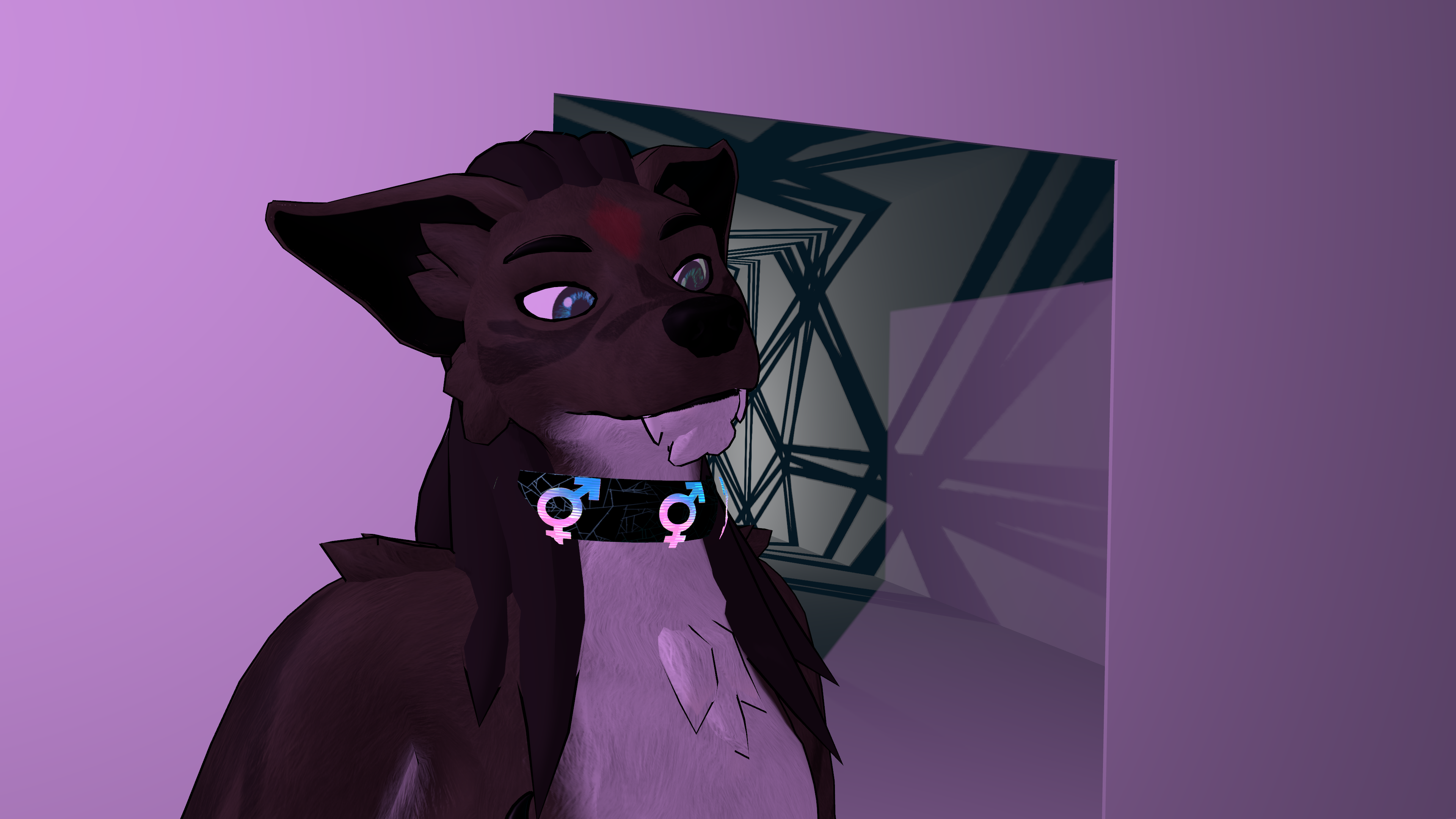 The Collargram: Hologram + Collar