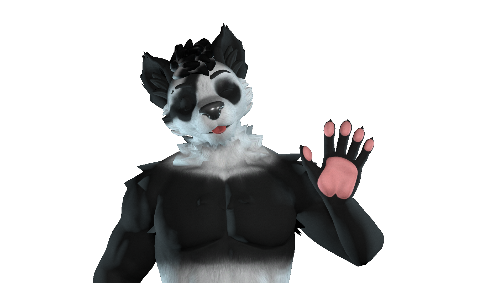Winterpaw Panda Texture