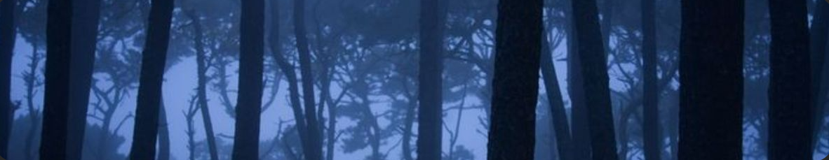Banner Background