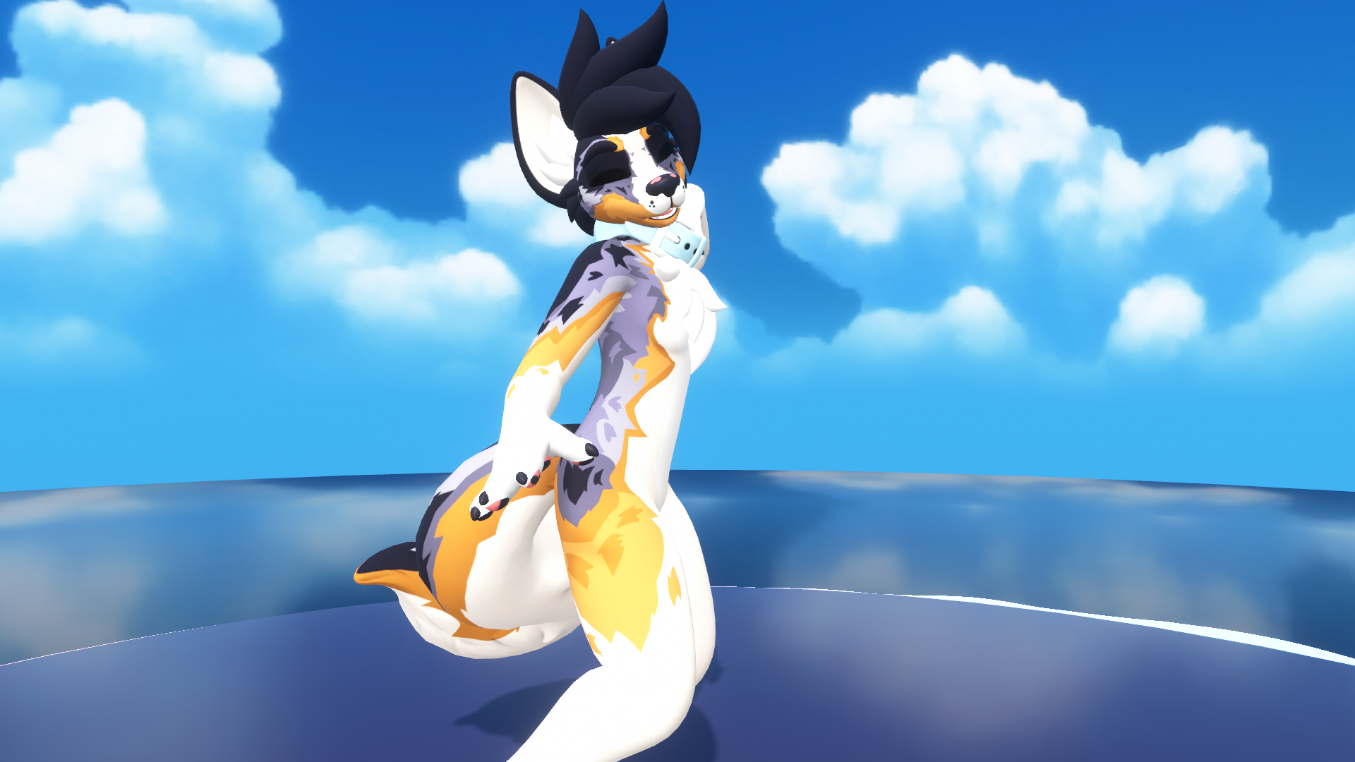 ⭐Aussie Shep⭐ PUPPER TEXTURES