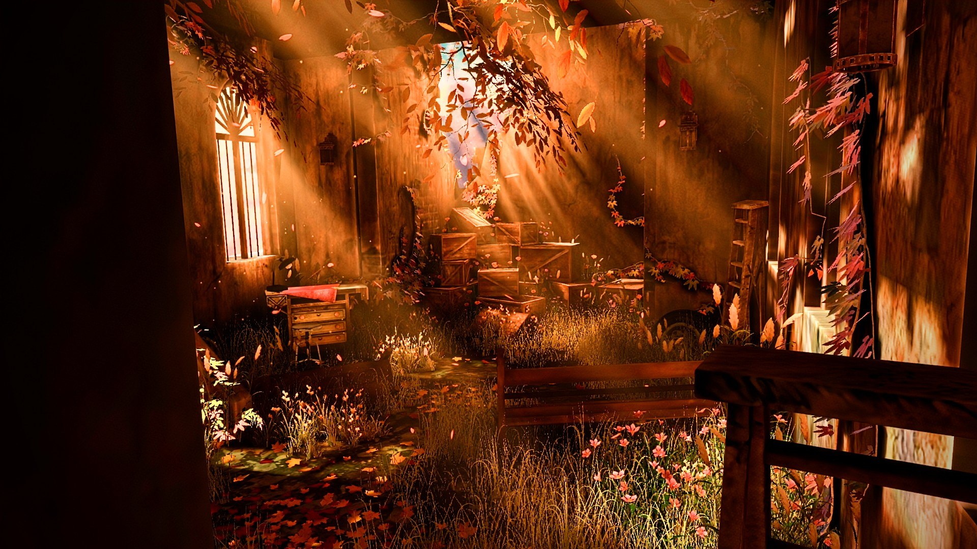 Banner Background