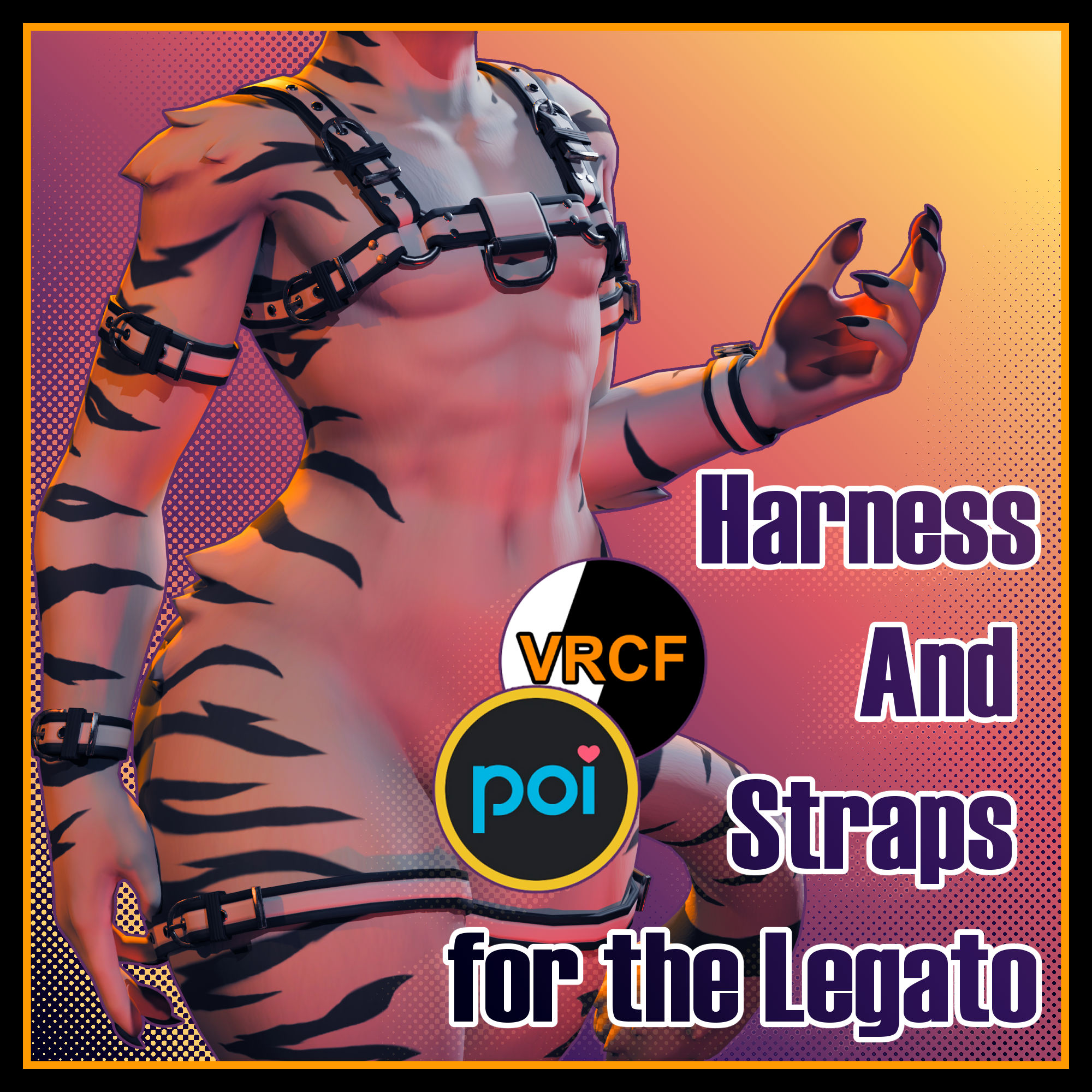 Harness and Straps For the Legato