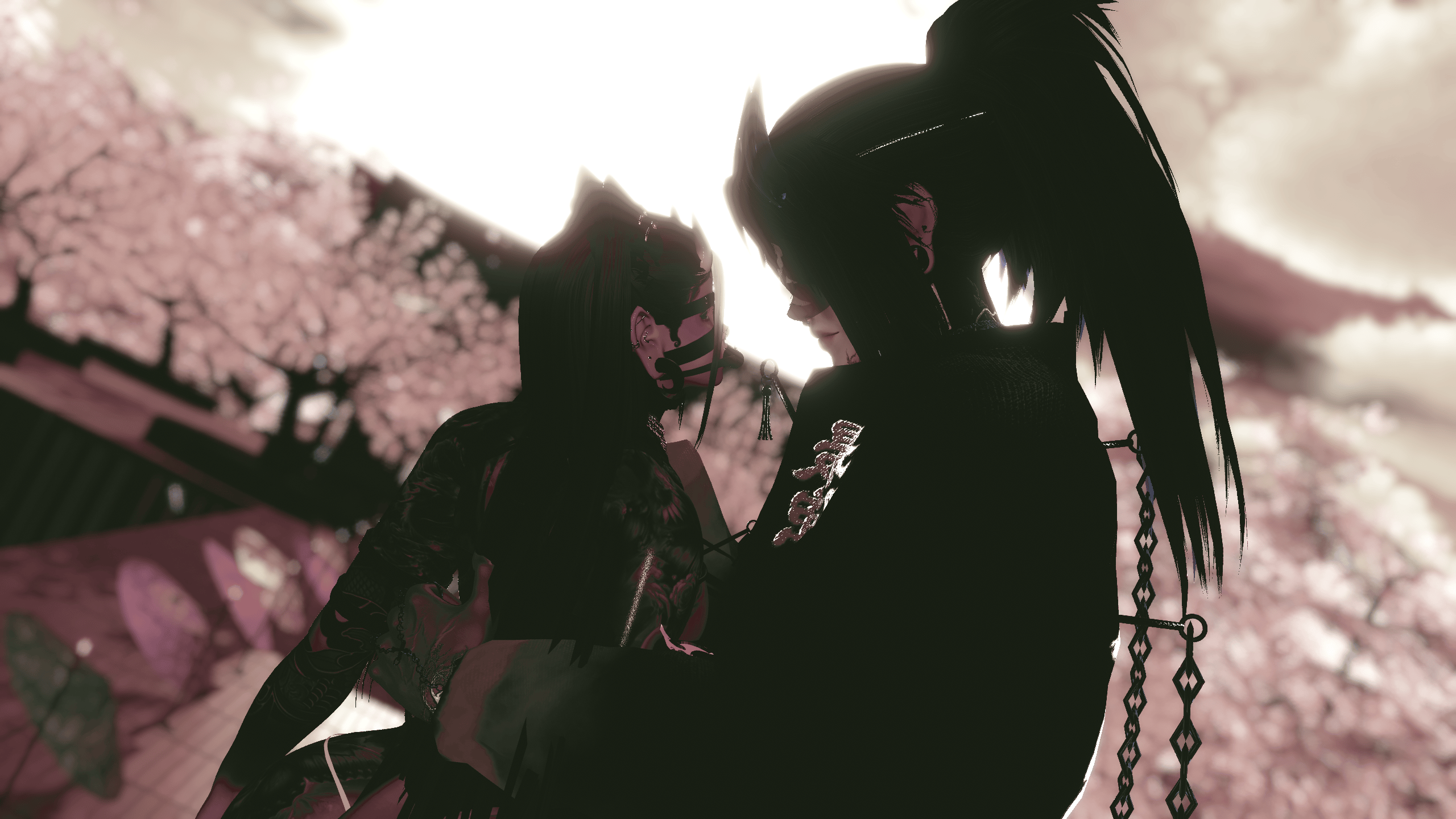 Banner Background